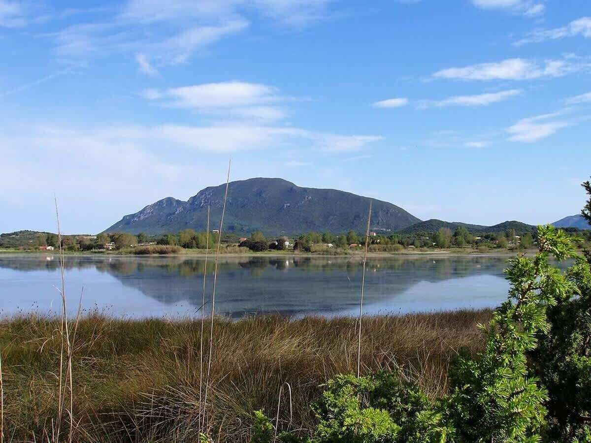 A calm lake with a mountain in the background and some vegetation in the foreground.