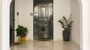 A modern entrance with a metal door, a potted plant, and a stone-tiled entrance. - Casa Ankilena Corfu Garden Haven (Corfu)