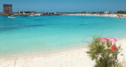 Olive tree apartment for your perfect vacation!