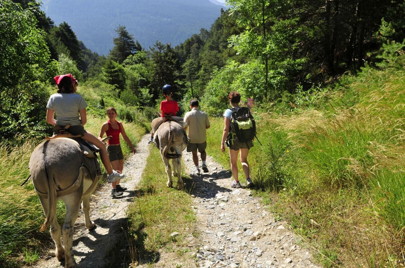 A group of people walking on a dirt path surrounded by greenery.