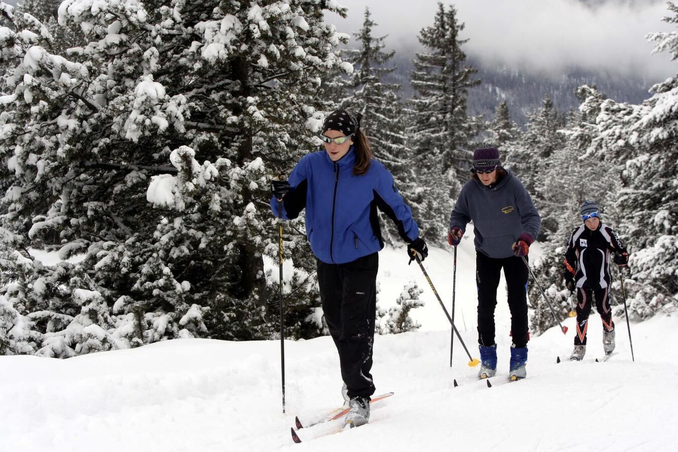 Three people cross-country skiing on a snowy slope with dense evergreen trees in the background.