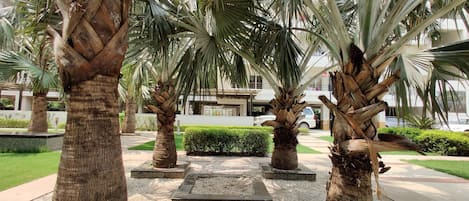 Garden view