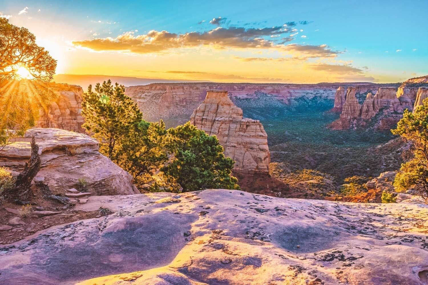A canyon landscape with prominent rock formations and trees.