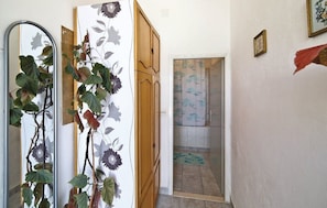 Een gang met een spiegel, een plant, een houten deur en een badkamer met douchegordijn.