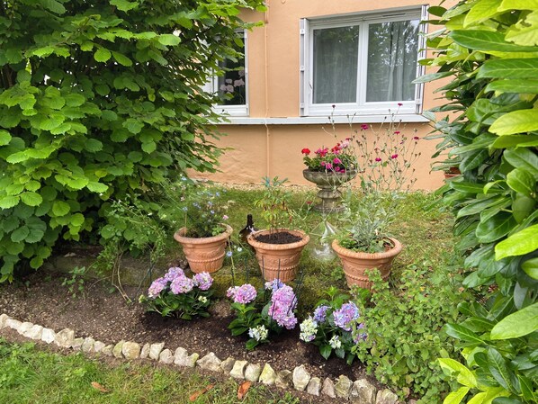 Terrein van de accommodatie