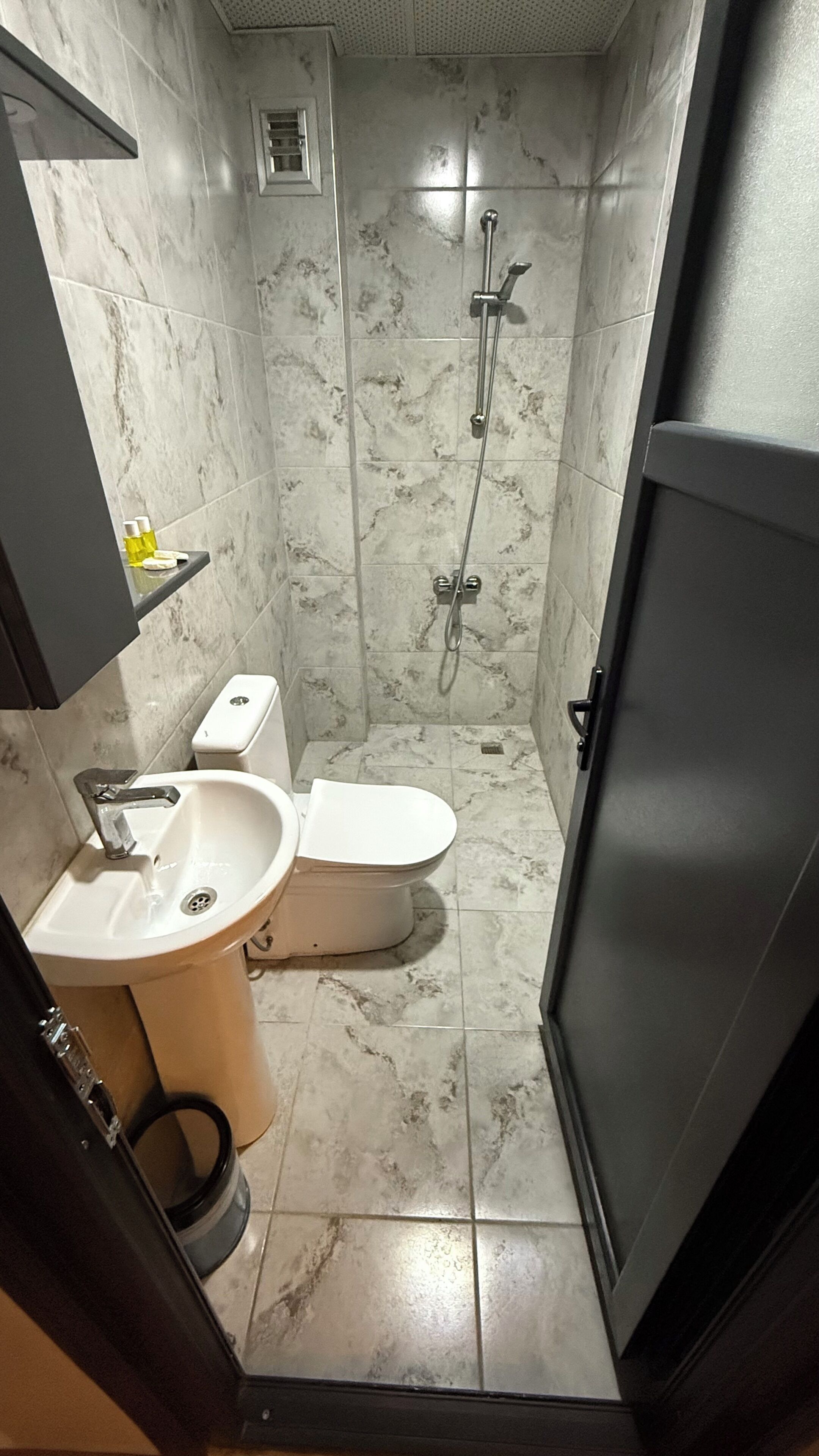 Een kleine badkamer met toilet, wastafel en douche.