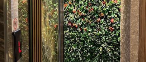 Un passadís amb una porta de vidre que dona a una habitació amb un paper pintat de flors i un telèfon a l'esquerra.
