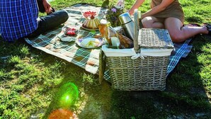 Piknik-alue, jossa on viltti, ruokaa ja juomia, ja joka sijaitsee ruohikkoisella alueella vesistön lähellä, taustalla näkyvät vuoret.