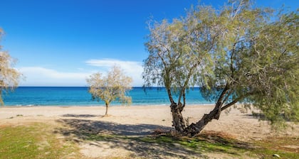 Sun Beach Apartments