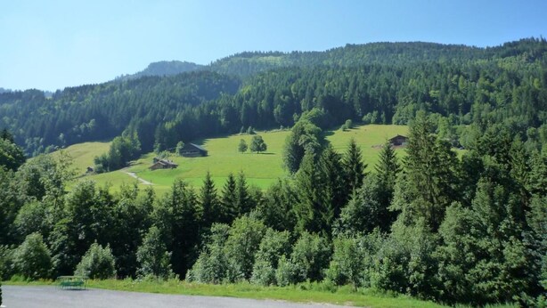 A rural landscape with rolling hills, dense forests, and a few scattered buildings.