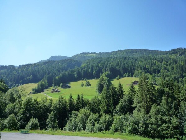 A rural landscape with rolling hills, dense forests, and a few scattered buildings.