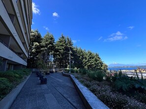 المنطقة المحيطة بالمنشأة