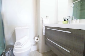 Dusche, Haartrockner, Handtücher, Shampoo