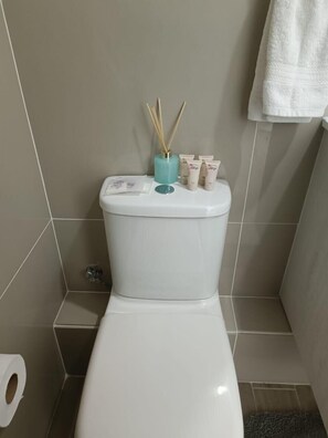 Shower, hair dryer, towels, shampoo