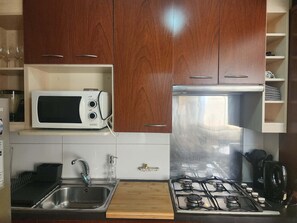 Kühlschrank, Mikrowelle, Ofen, Herdplatte