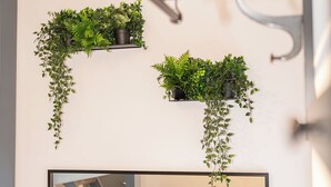 Ett badrum med en stor spegel, två svarta vägghyllor och tre hängande blomkrukor med gröna växter.