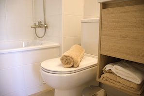 Douche, sèche-cheveux, serviettes fournies, shampoing