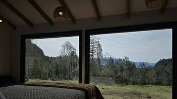 1 slaapkamer, beddengoed, rolstoeltoegang