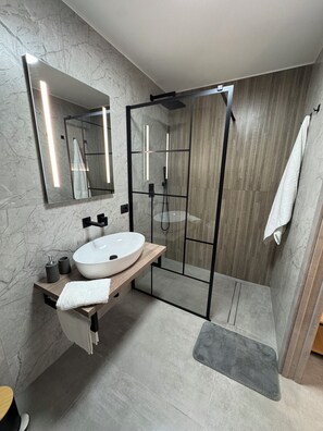 Shower, hair dryer, bidet, towels