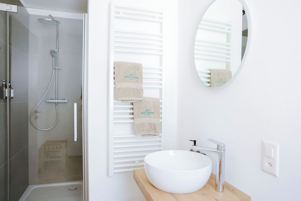 A bathroom with a glass-enclosed shower, a white sink, and a mirror.