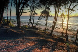 Accommodatie ligt op het strand