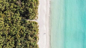 Vista aérea de una playa con abundante vegetación a un lado y una playa arenosa al otro.