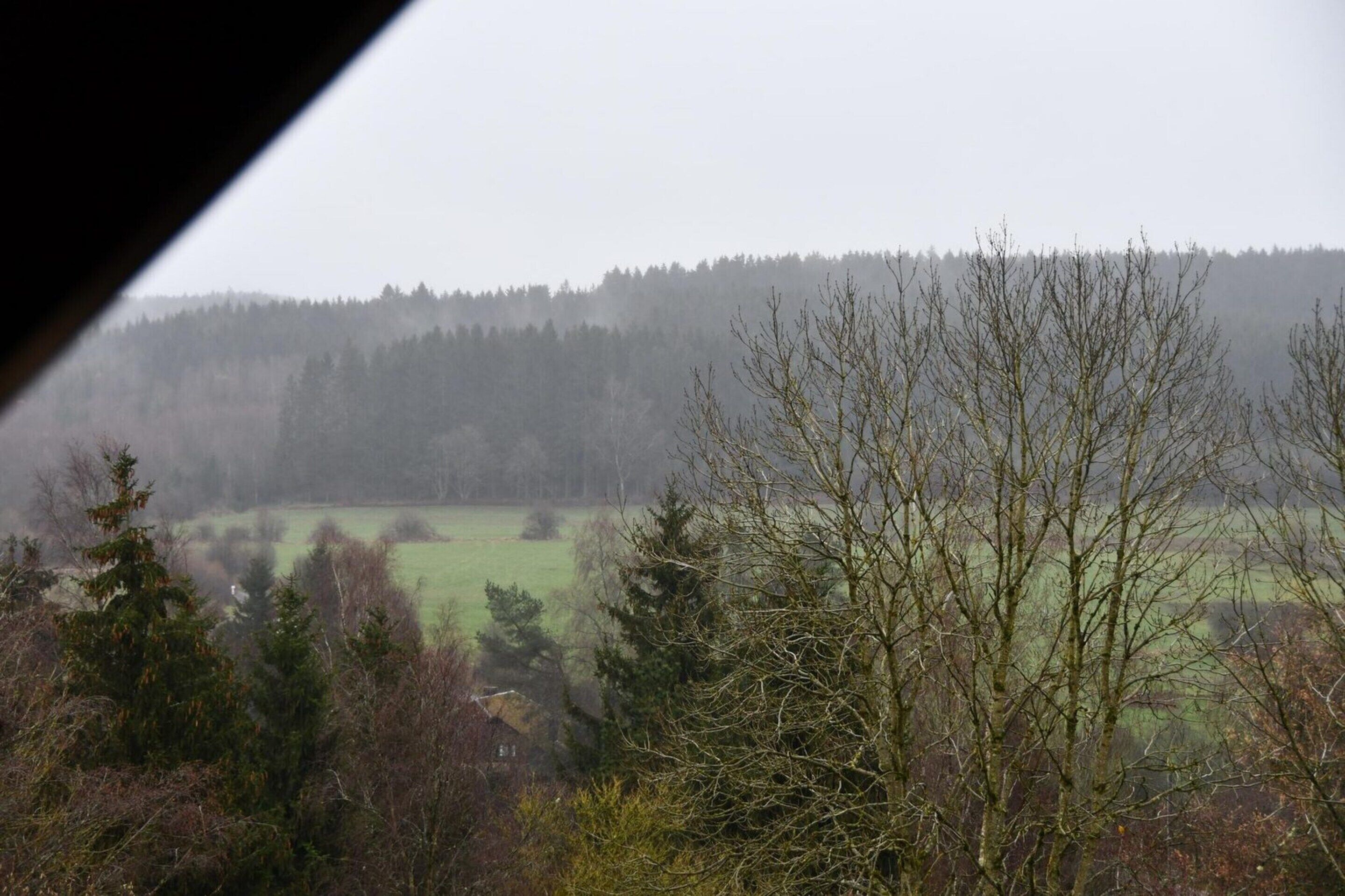 A view of a forested landscape with a house in the foreground.