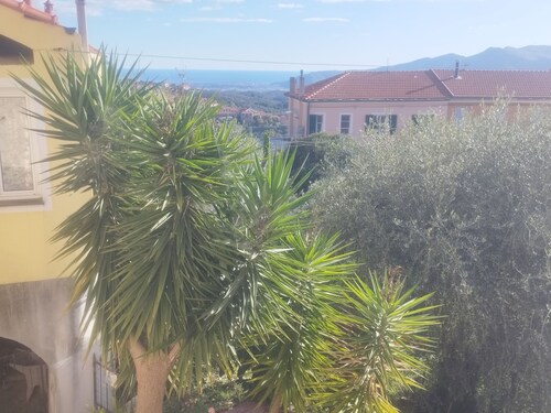 Serenità tra gli ulivi