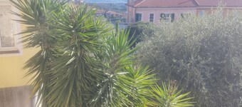 Serenità tra gli ulivi