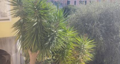 Serenità tra gli ulivi