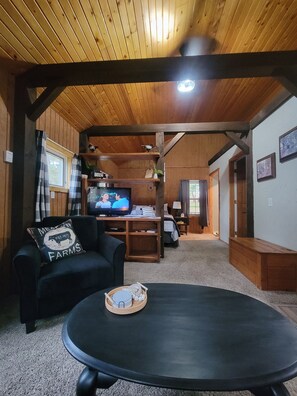 Fernseher, Kamin, DVD-Player, Bücher