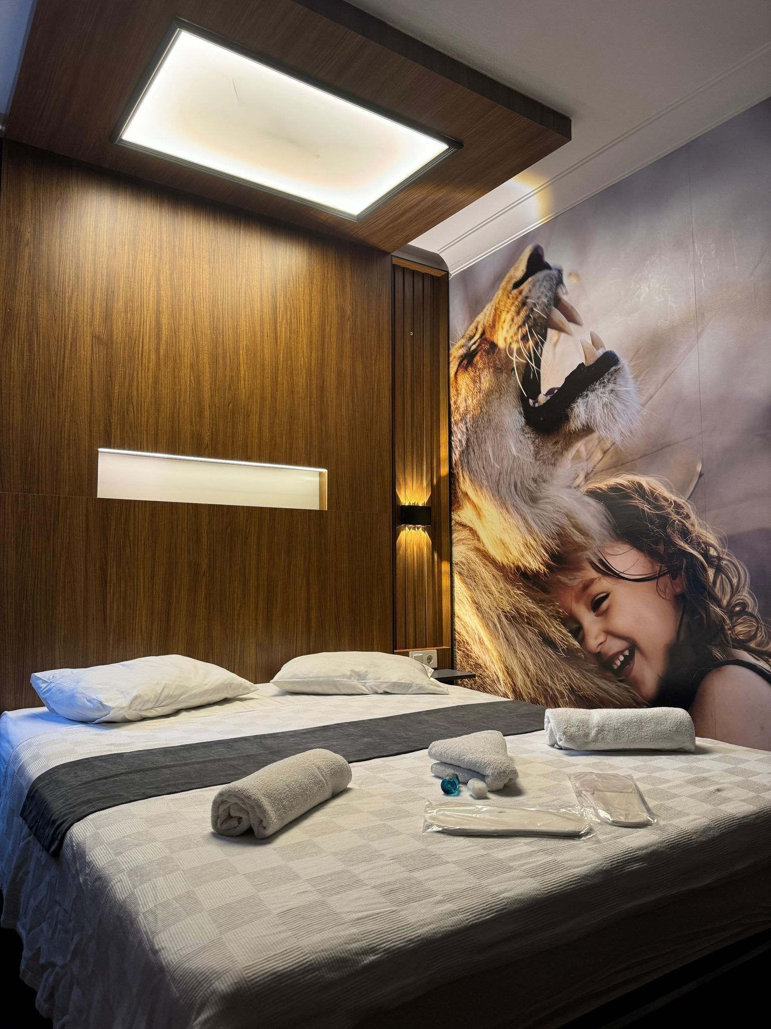 Desk, laptop workspace, iron/ironing board, free WiFi