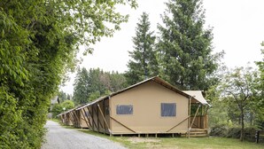 Una fila di chalet a un piano con un vialetto sterrato che vi conduce, immersi nel verde.