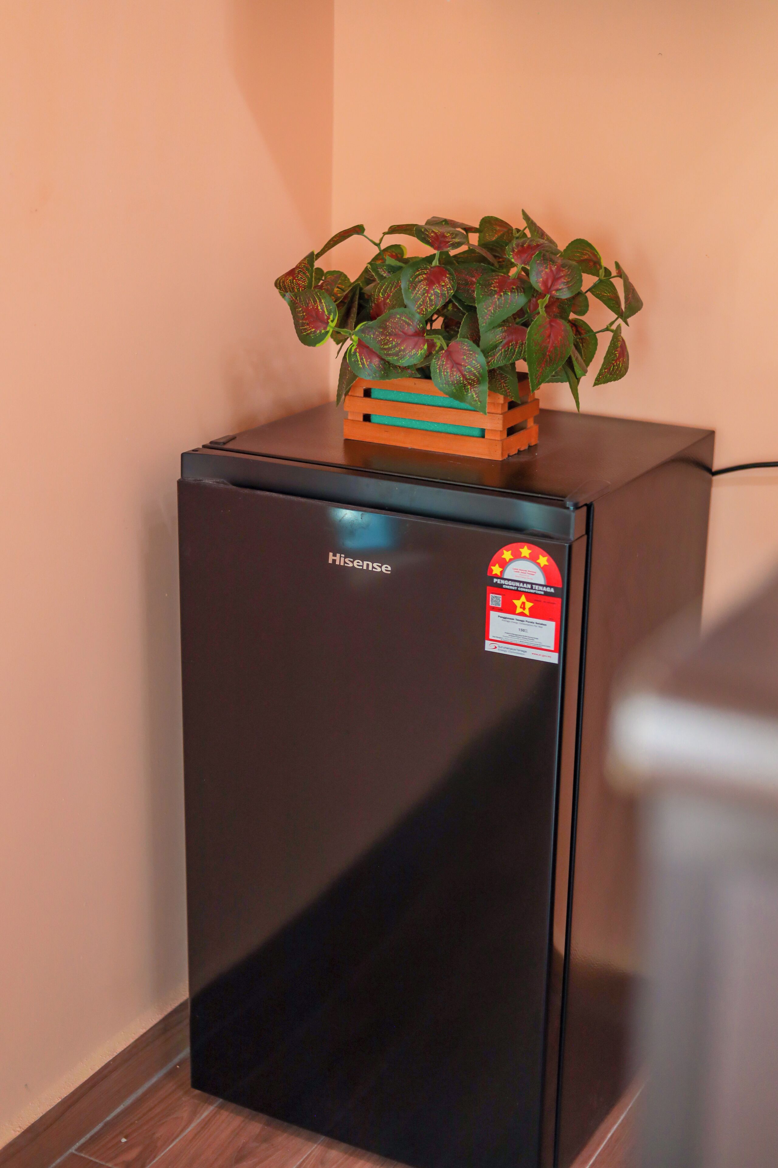 Un petit réfrigérateur noir, orné d’un autocollant, est placé contre un mur. À côté, une caisse en bois contient des plantes vertes et rouges.