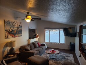 Smart TV, fireplace, books, printers