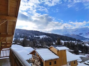 Property grounds - Swimming pool, terrace, balcony, tv, 45m², Combloux (Combloux)
