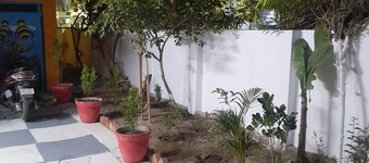 The Nomad Cave ,Cozy Stay for Backpacker & Digital Nomad,Startup House Co-Livin.