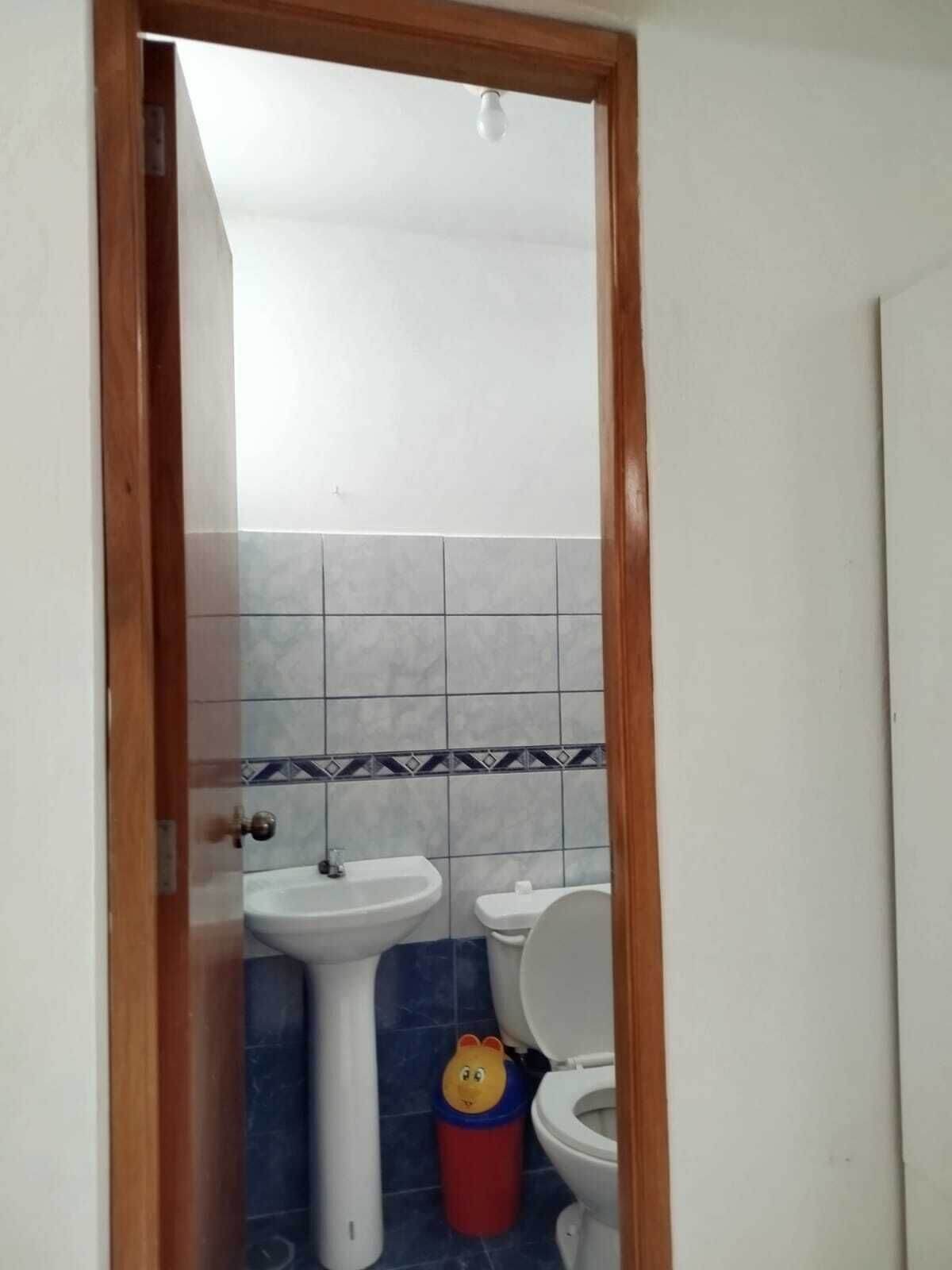 Asciugamani, carta igienica