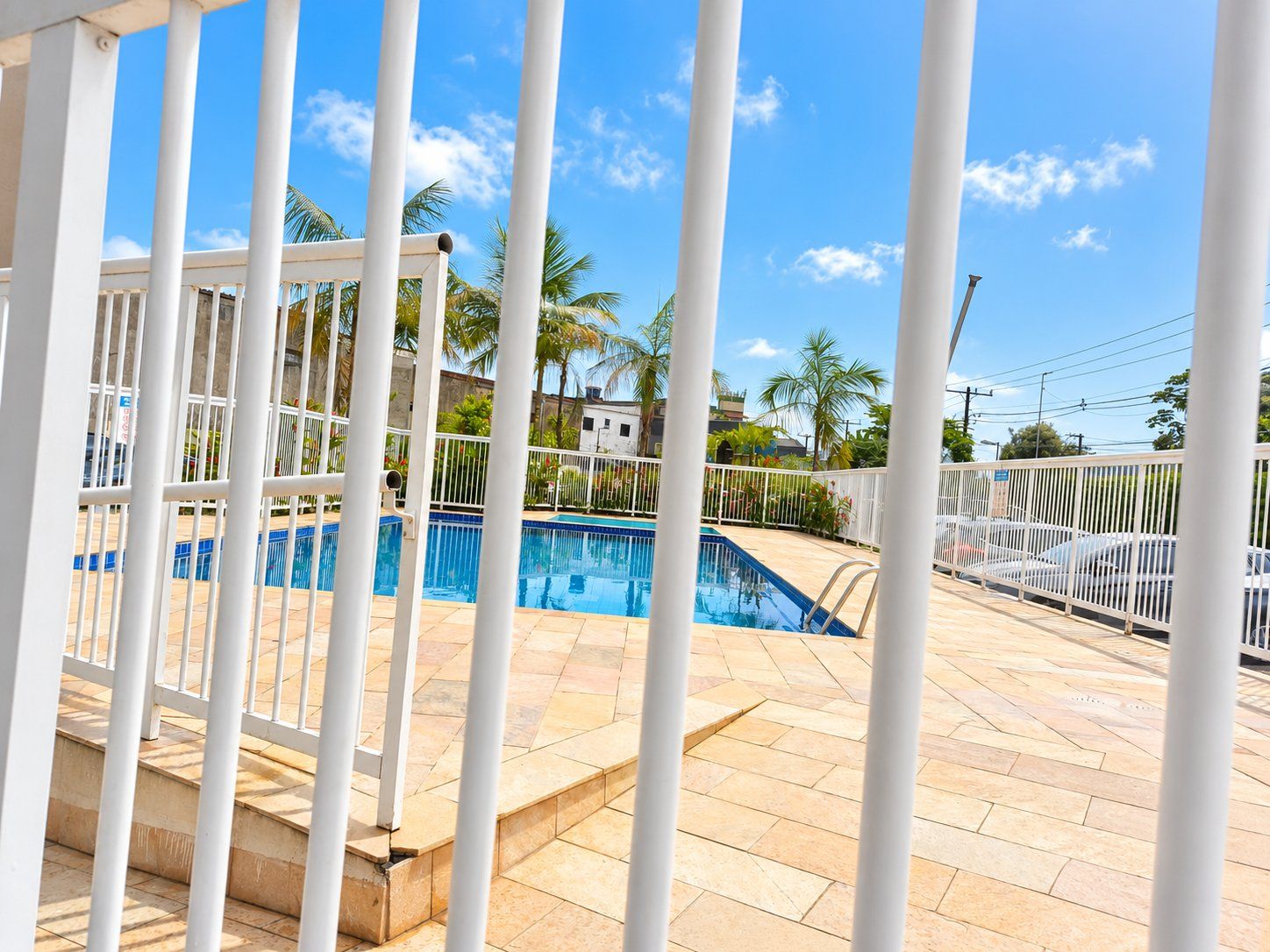 Una piscina con borde de baldosas, rodeada de palmeras y un cielo despejado.