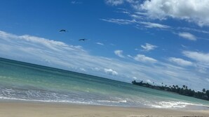 A beach with clear skies and two birds flying.