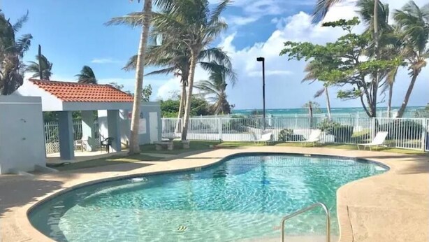 A swimming pool with a curved edge, surrounded by palm trees and a white fence.