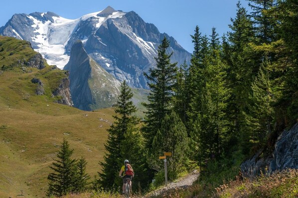 Paisaje montañoso con un ciclista en un sendero, una señalizadora y un pico nevado al fondo.