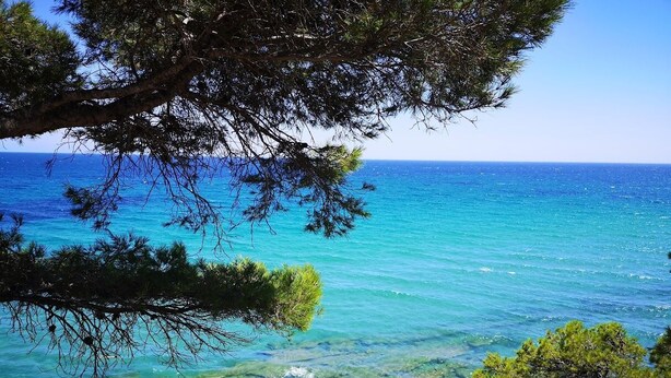 A coastal scene with clear turquoise waters, rocky shoreline, and dense green foliage.