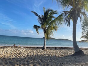 Camastros y toallas de playa 