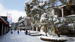 Une rue enneigée, avec des bâtiments, un banc et un arbre.