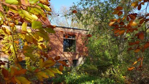 An abandoned brick building surrounded by dense foliage and trees. - Pure tranquillity: vacation apartment close to nature in Unkengrund (Nordwestuckermark)