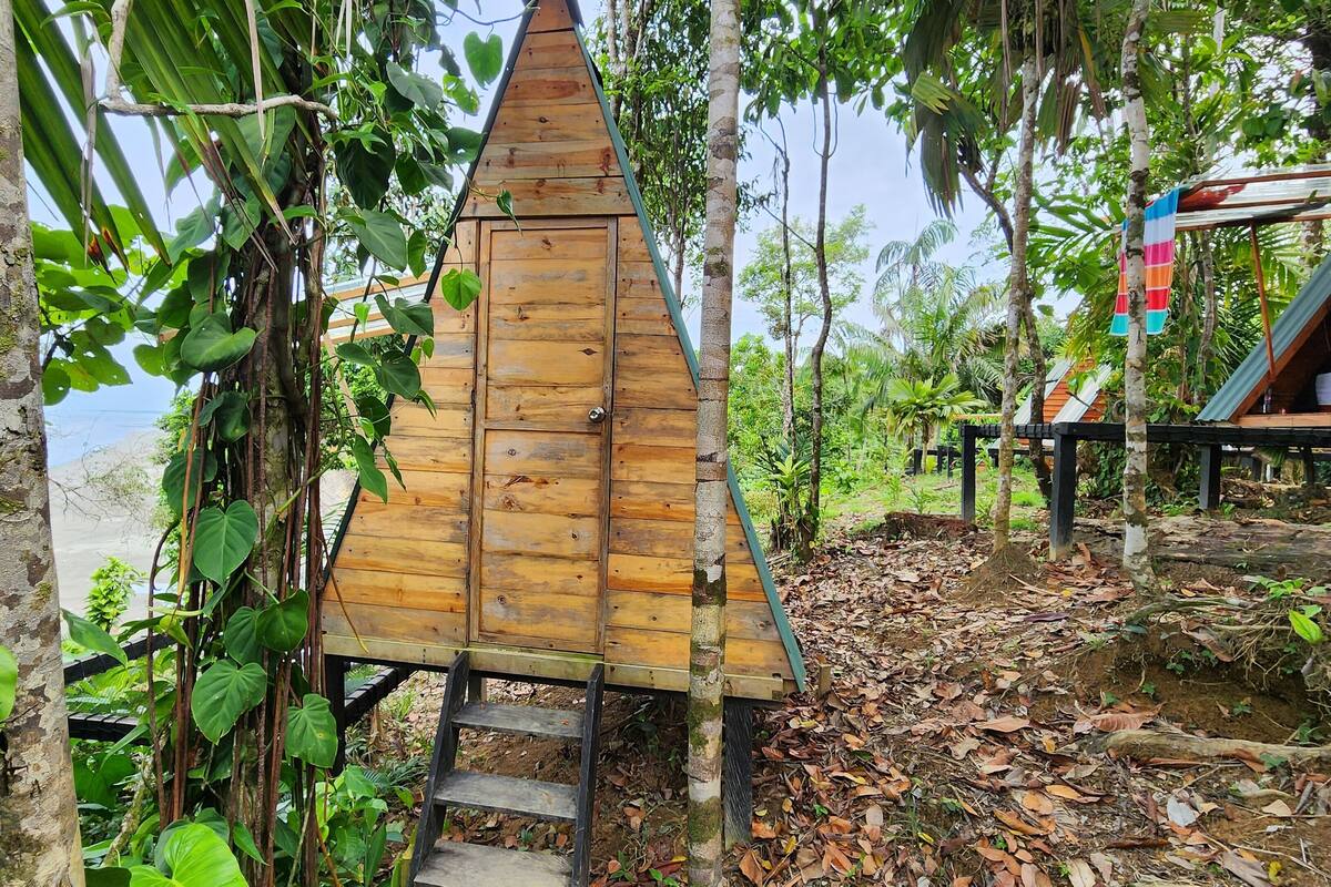 A wooden structure with a triangular roof, surrounded by dense tropical foliage.