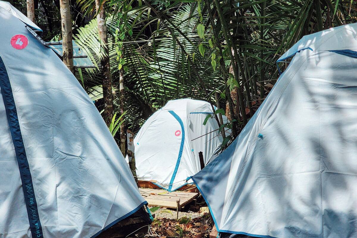 A row of tents in a forested area.
