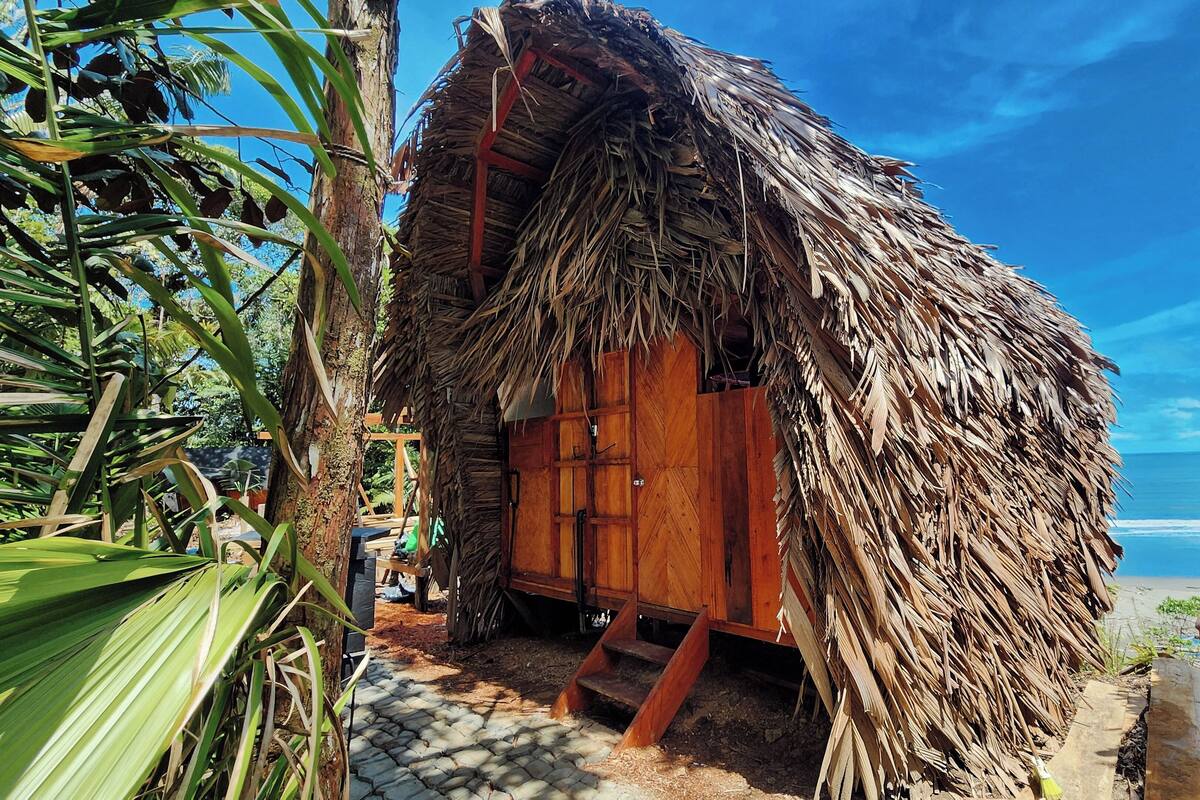 A thatched-roof hut with a wooden door and steps leading up to it, surrounded by palm trees and a clear blue sky.