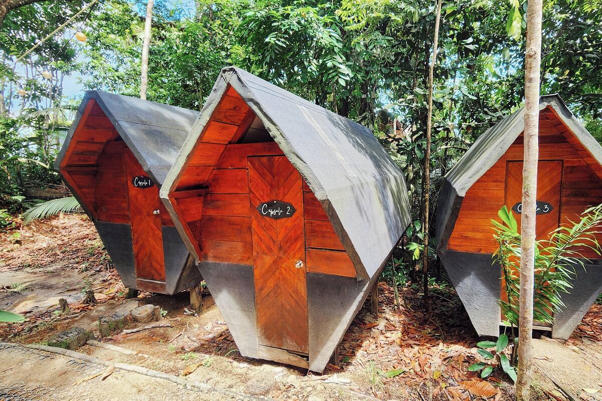 Three hexagonal wooden structures with numbers on doors, set in a forested area.